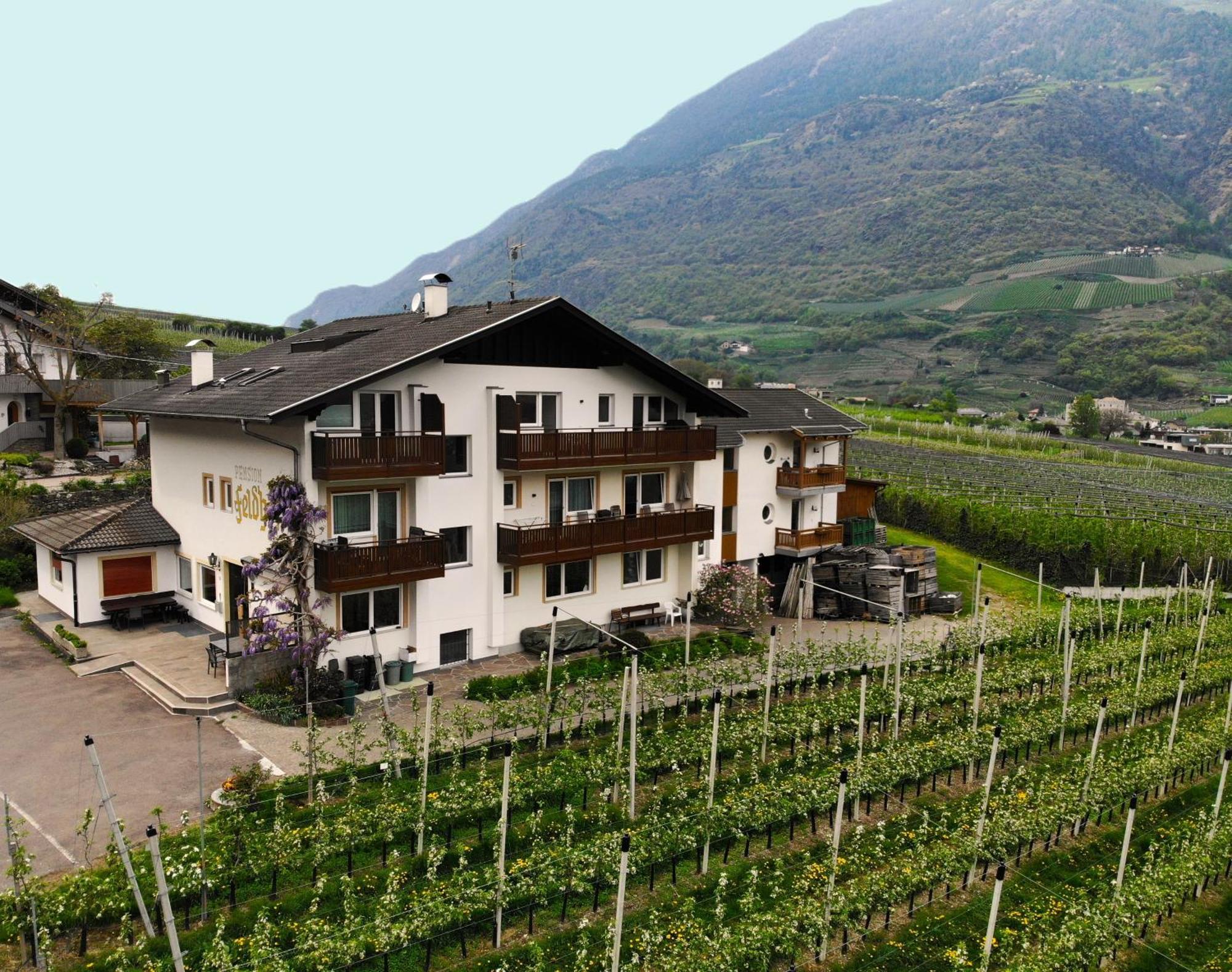 Garni Appartements Feldhof Castelbello Buitenkant foto
